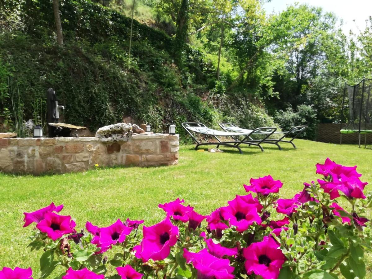 Les Gites Du Moulin D Olt 라카누르그 외부 사진